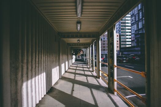 惠灵顿一条阳光明媚的走廊展现了这座城市的建筑风貌