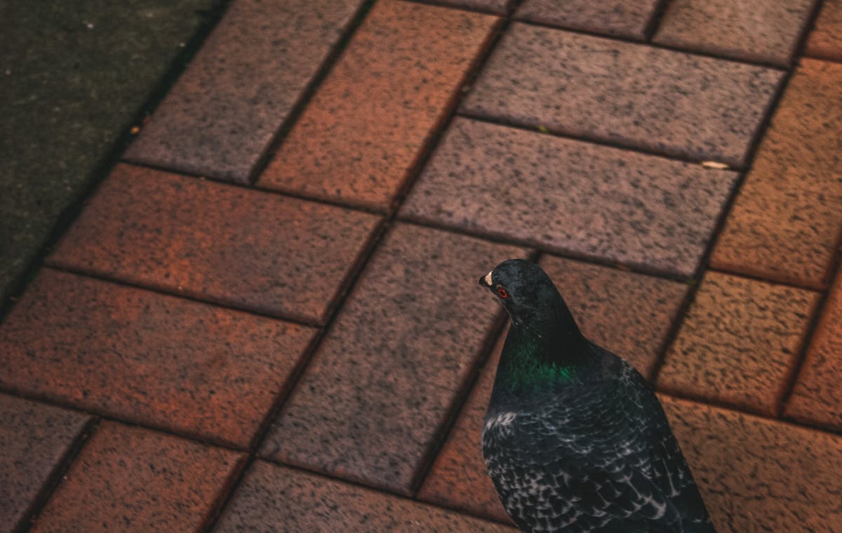 MOTION STUDY gallery 3