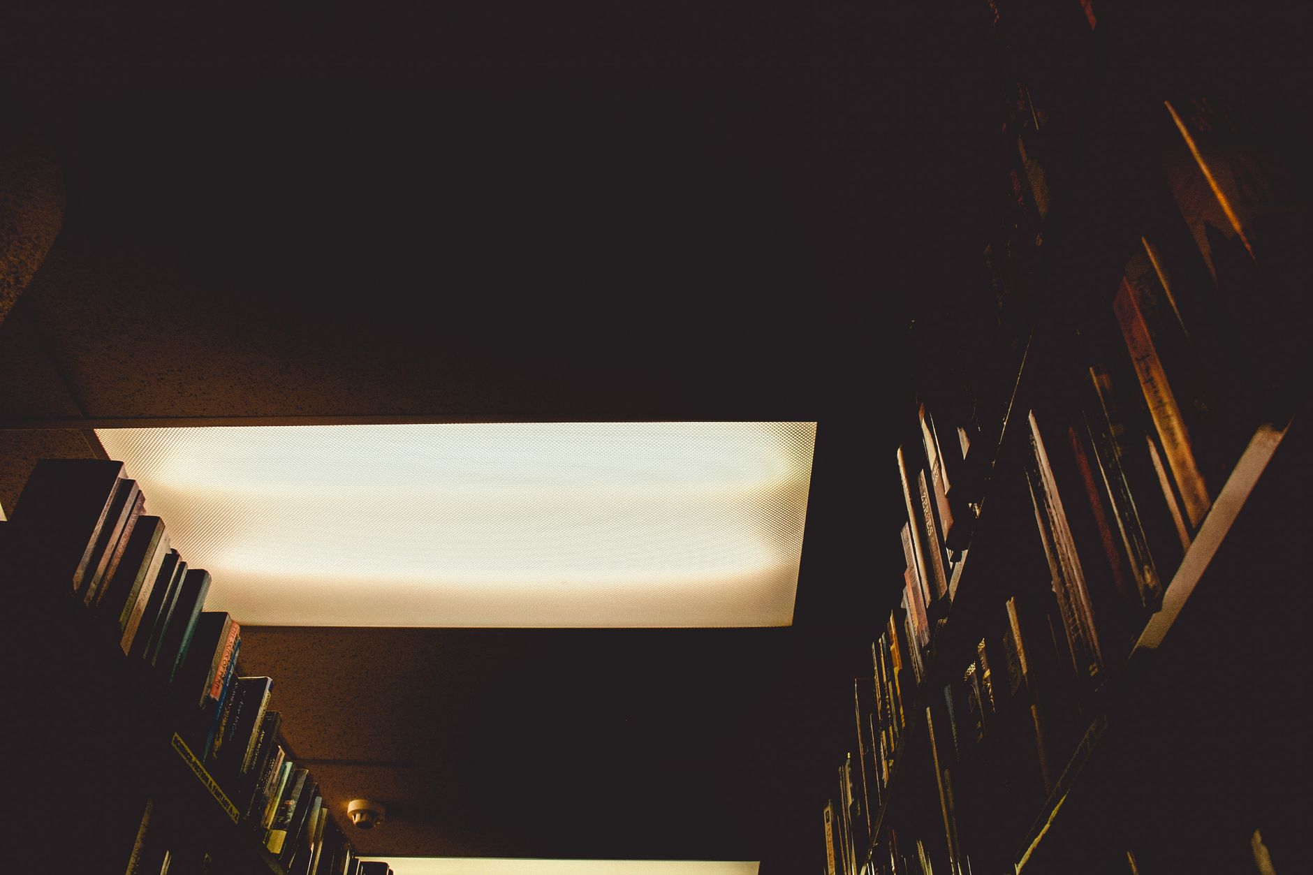 Bibliotecas Publicas y Servicios Gratuitos en Nueva Zelanda