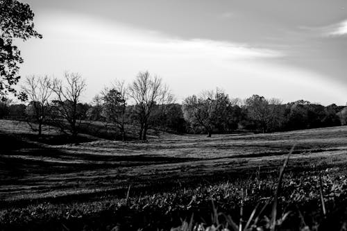 Free stock photo of black and white, clouds, field