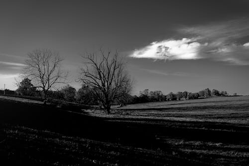 Free stock photo of black and white, clouds, field