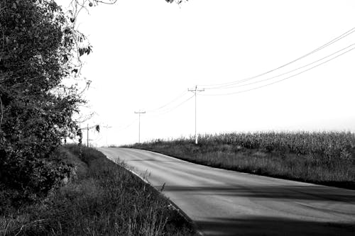 Free stock photo of asphalt road, black and white, highway