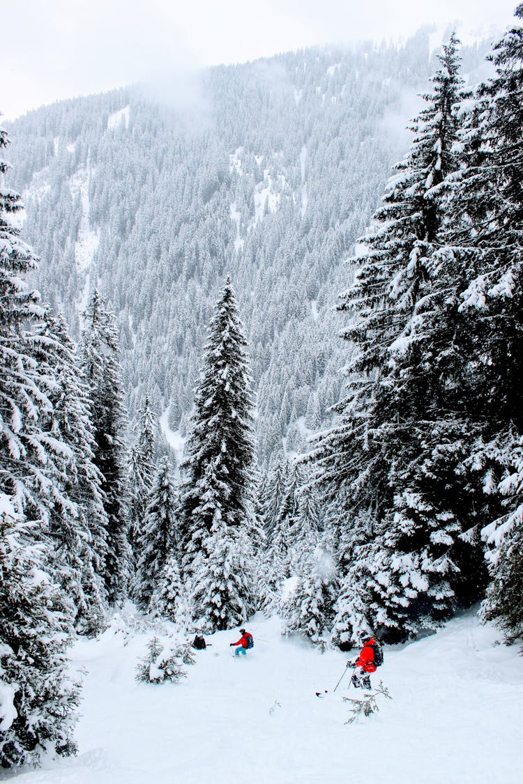 People Skiing Down The Hill