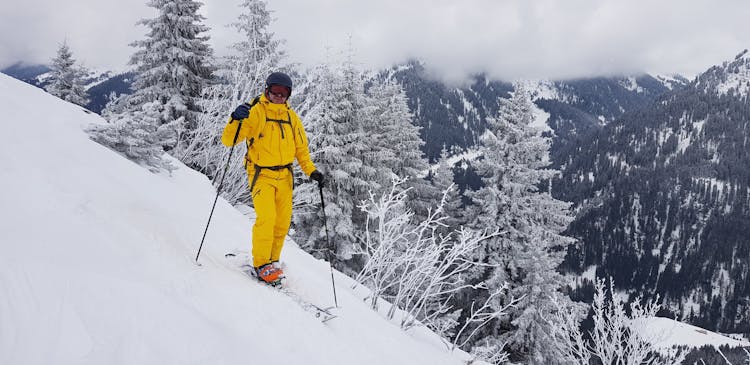 Forest Skiing In The Alps