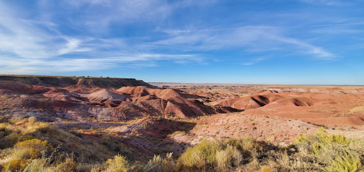 Landscape Of Desert