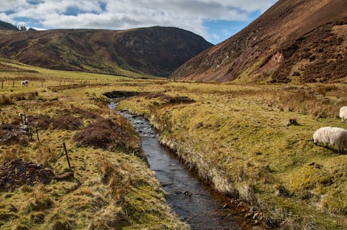 

A Field with a River