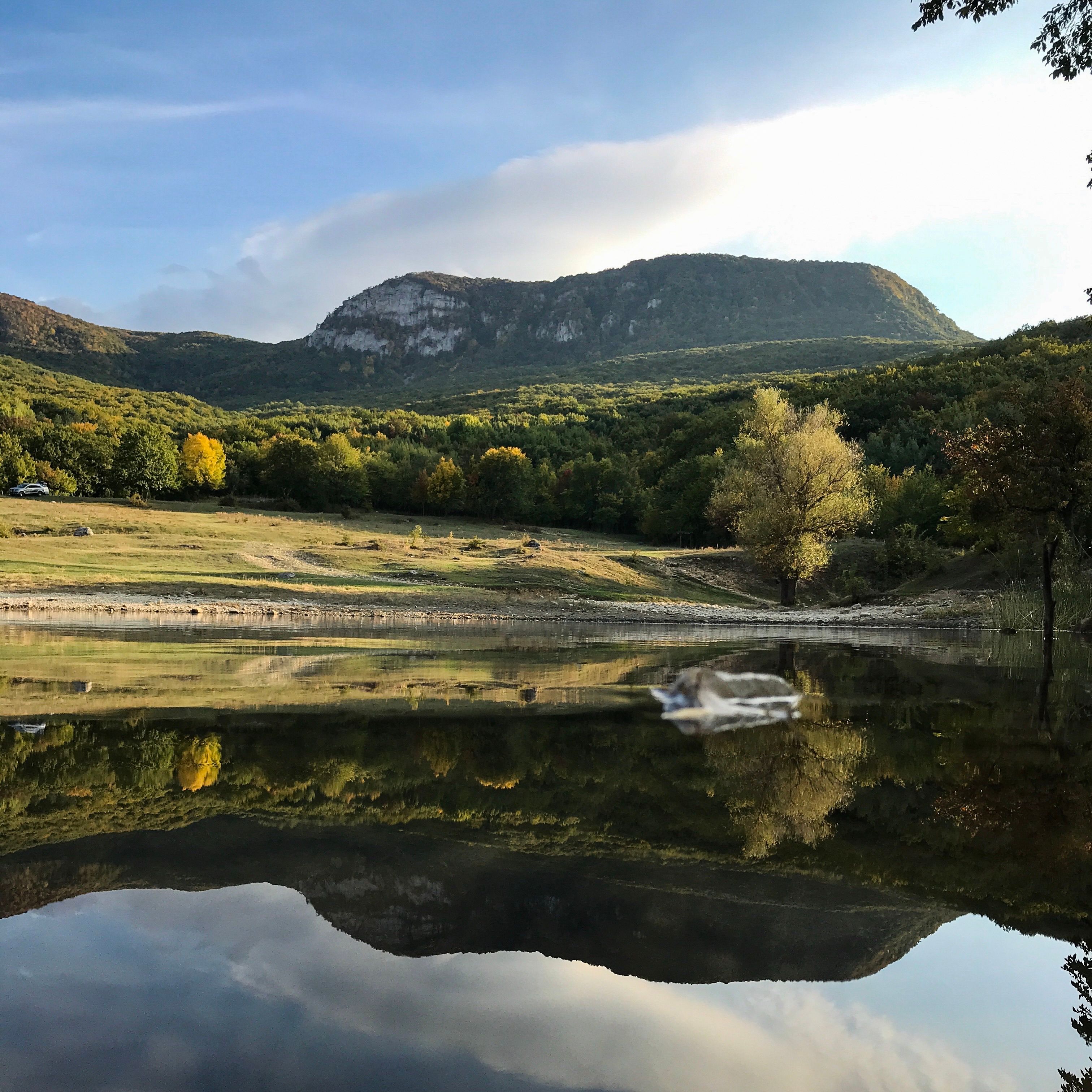 Autumn treeline mirrored in flat water, photo by luna on Pexels