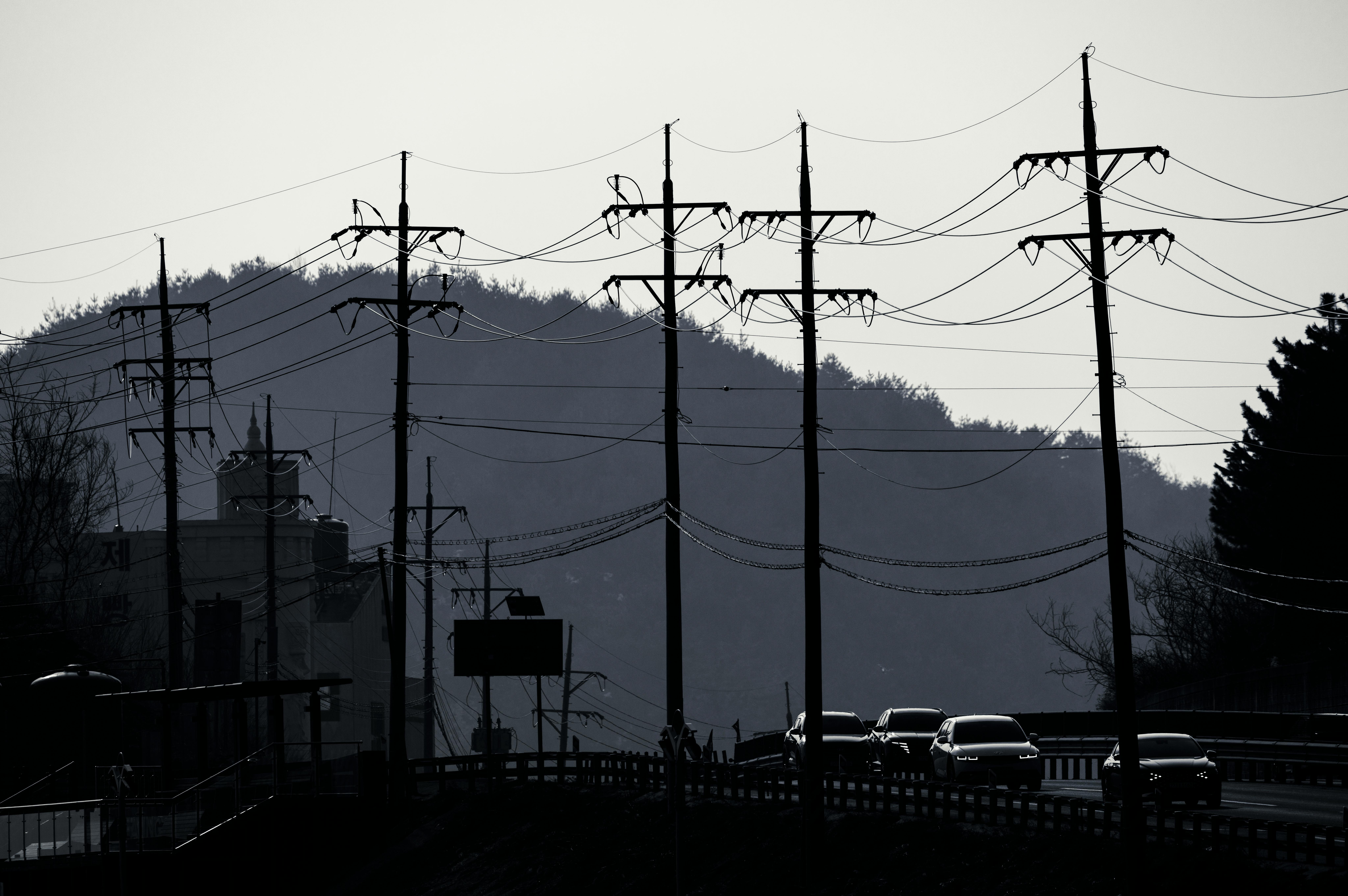 What If All Cars Were Autonomous, Electric, and Free? — Photo by 정규송 Nui MALAMA on Pexels