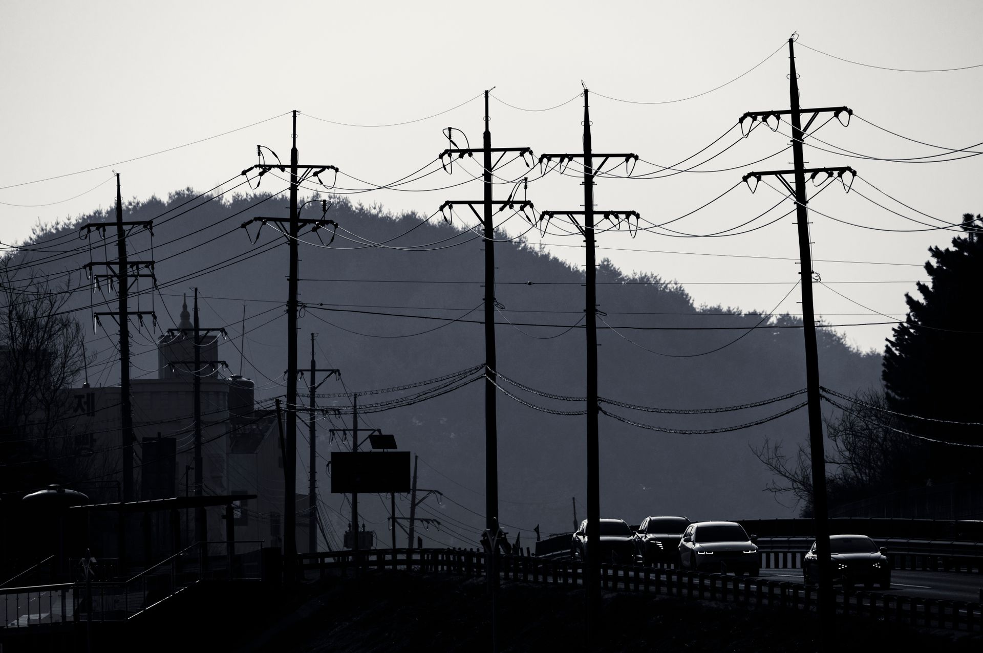 Power Supply Poles Standing in Row