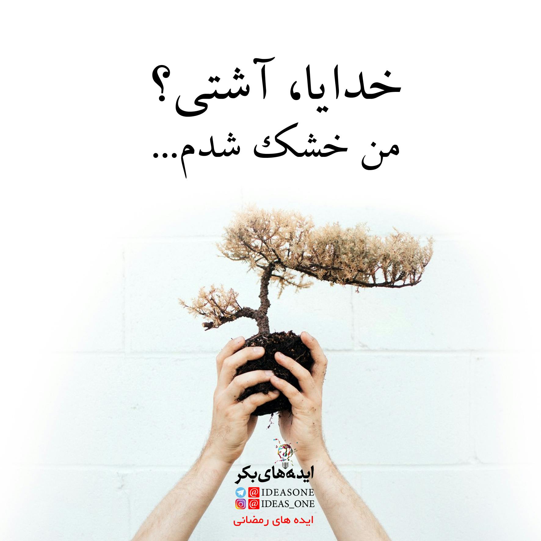 High Roller observation wheel at The LINQ Promenade