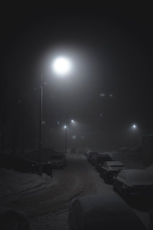 Cars on the Road at Night