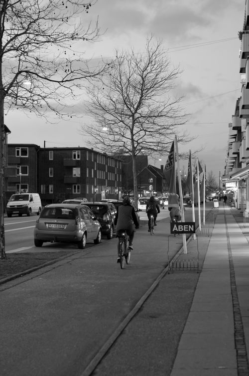 Free Black and white photo of cyclists on a city bicycle lane, showcasing urban life. Stock Photo