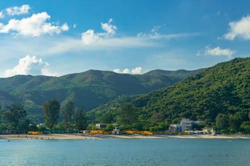 Forest Covered Mountain Near the Ocean