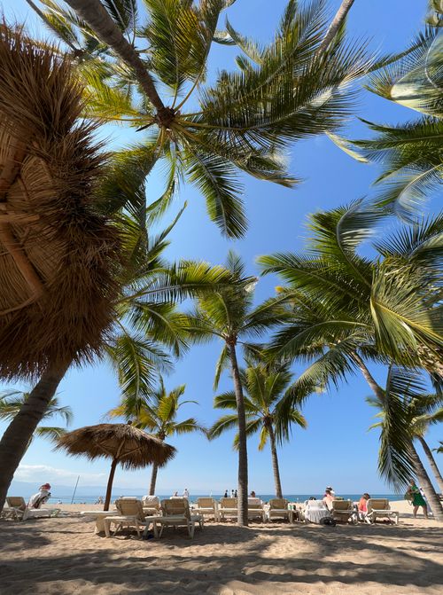 Free Relaxing tropical beach scene with coconut palms and blue sky, perfect for travel and relaxation. Stock Photo