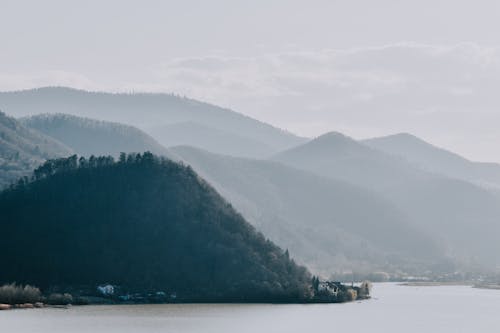 Foto d'estoc gratuïta de boira, bosc, casa