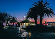 索契度假村的黄昏时分，棕榈树、灯光与充满活力的天空构成了一幅美景