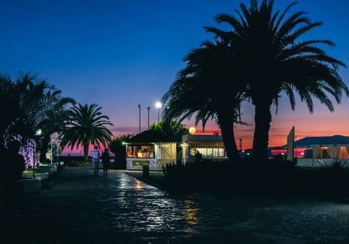 Free Evening view of a Sochi resort with palm trees, lights, and a vibrant sky. Stock Photo