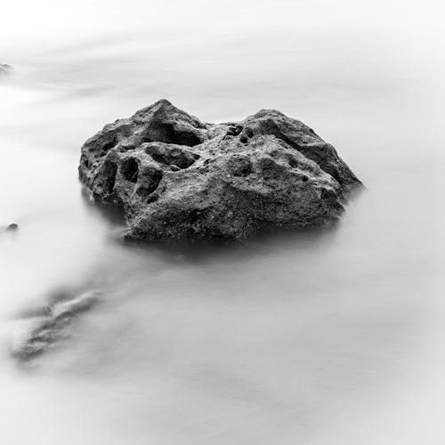 Foto d'estoc gratuïta de blanc i negre, escala de grisos, format quadrat