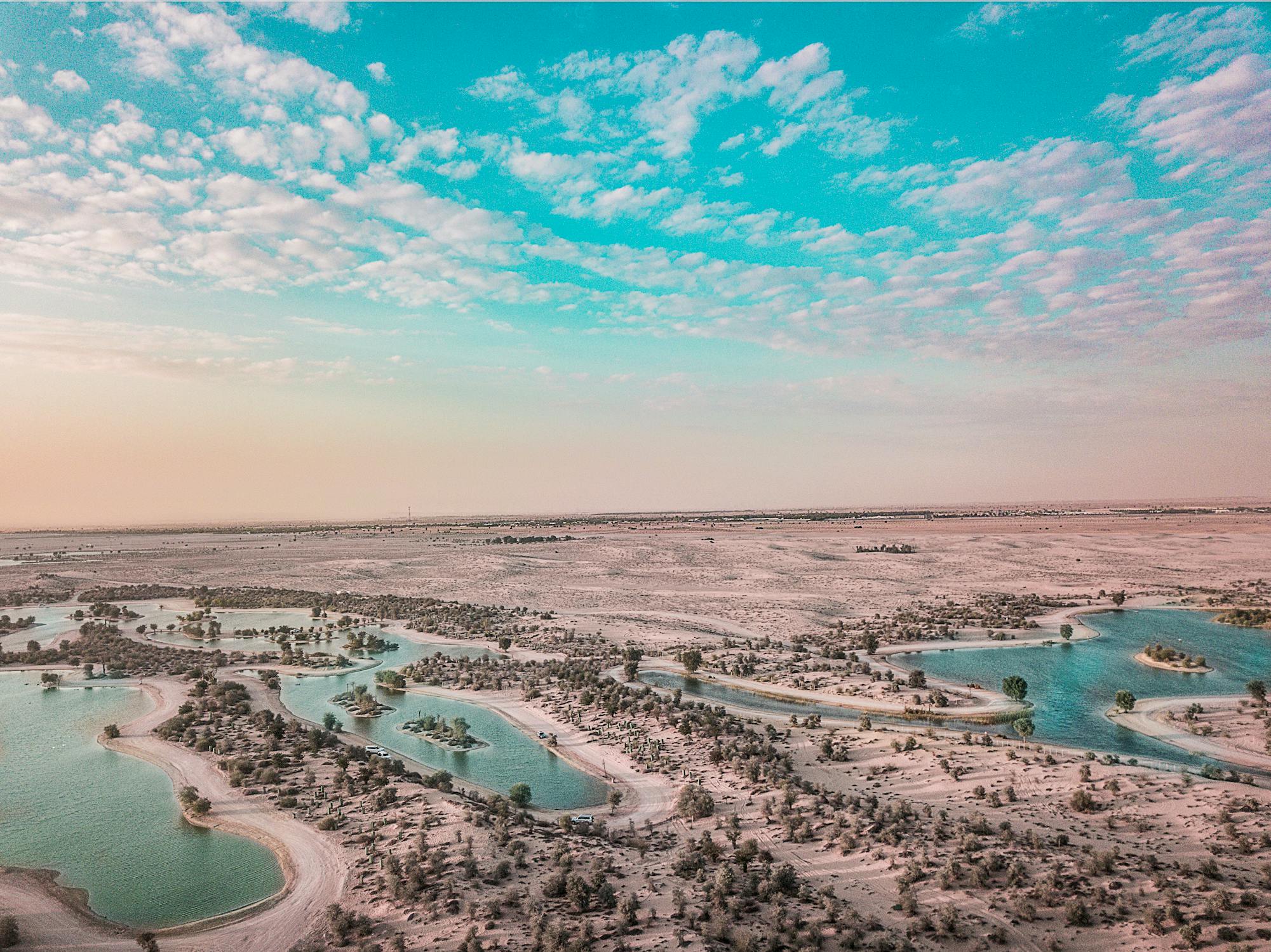 Oasis in desert area in cloudy weather · Free Stock Photo
