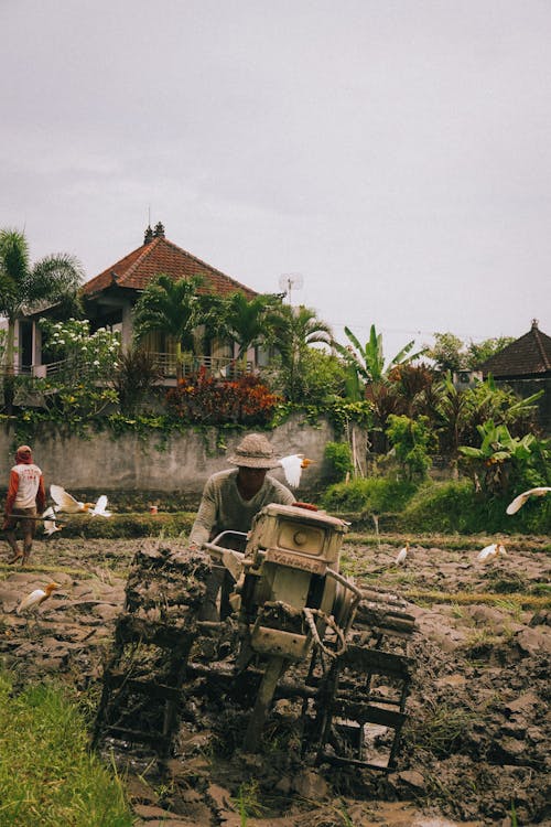 Man Working in Field in Tropical Landscape