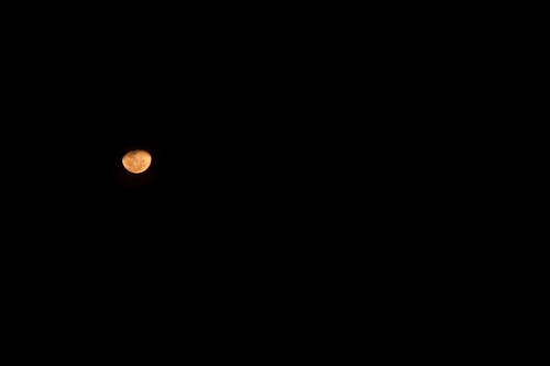 Free stock photo of blood moon, moon, night sky