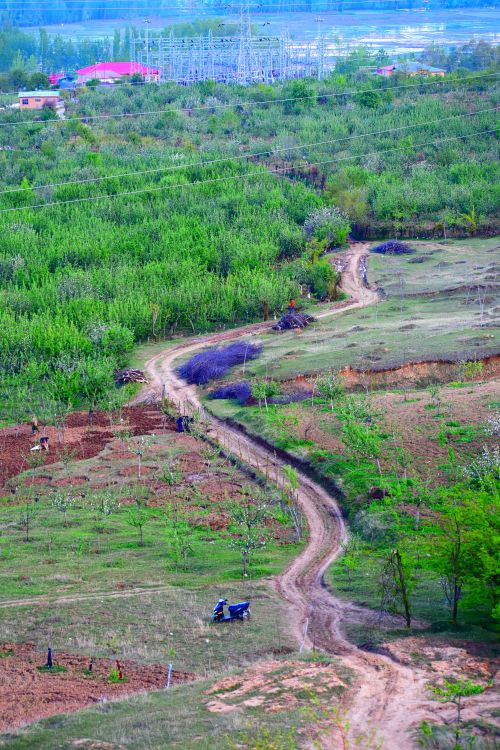 Free Explore nature with this aerial view of a rural path winding through lush green fields. Stock Photo