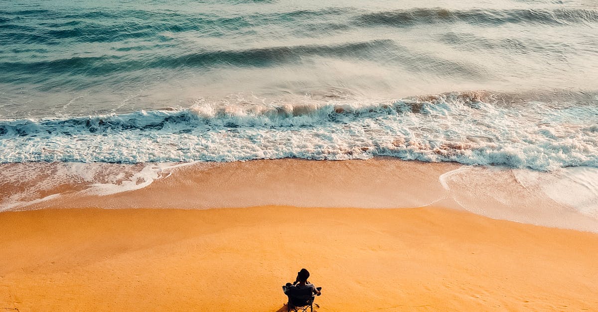 How long do jellyfish live on sand