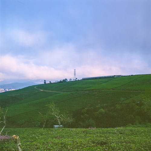 Immagine gratuita di campagna, campo, collina