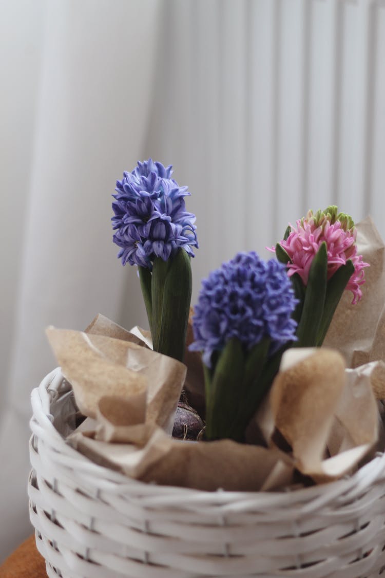 Flowers In Basket