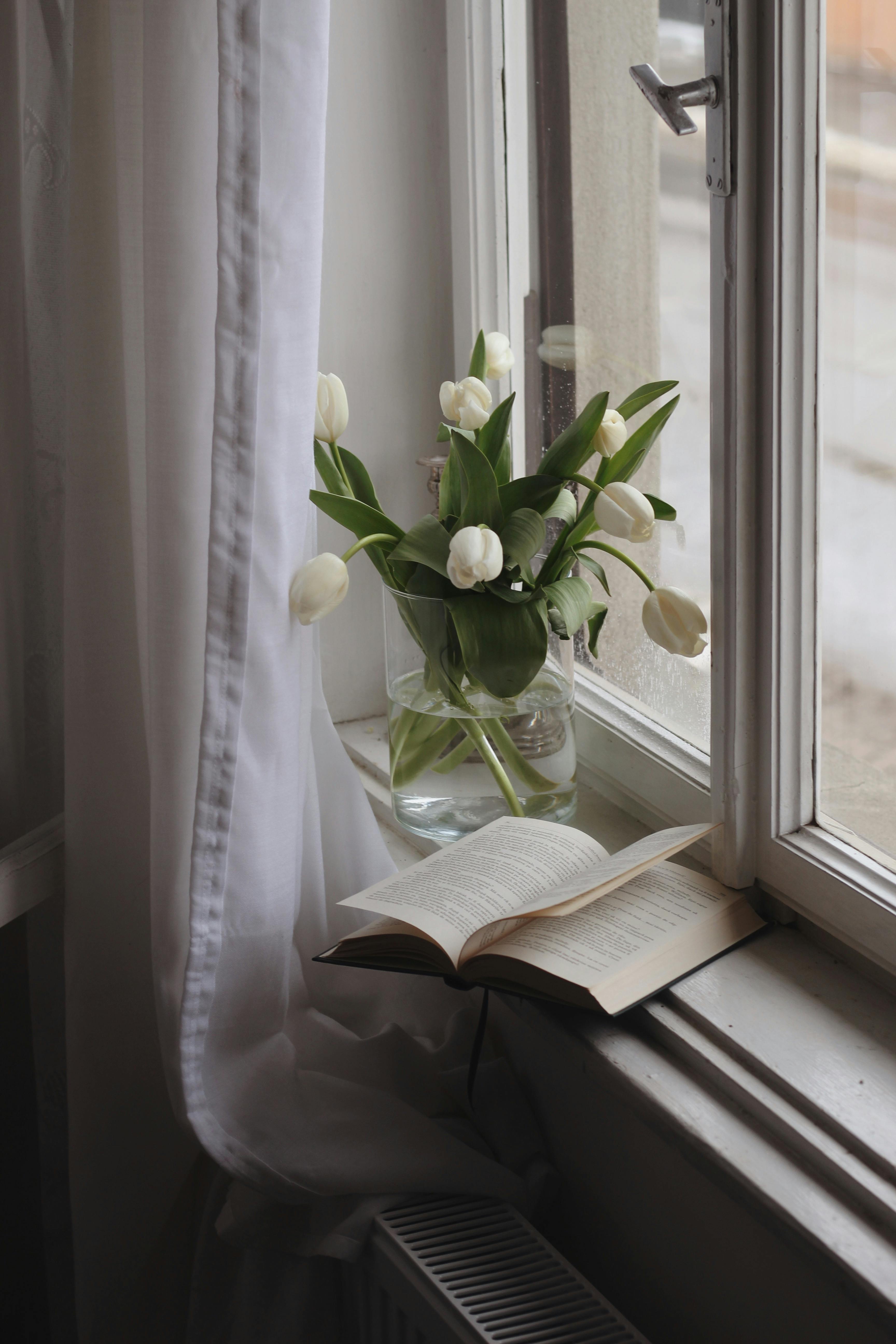 Peaceful home scene with tulips in vase by a window and an open book, creating a cozy atmosphere.
