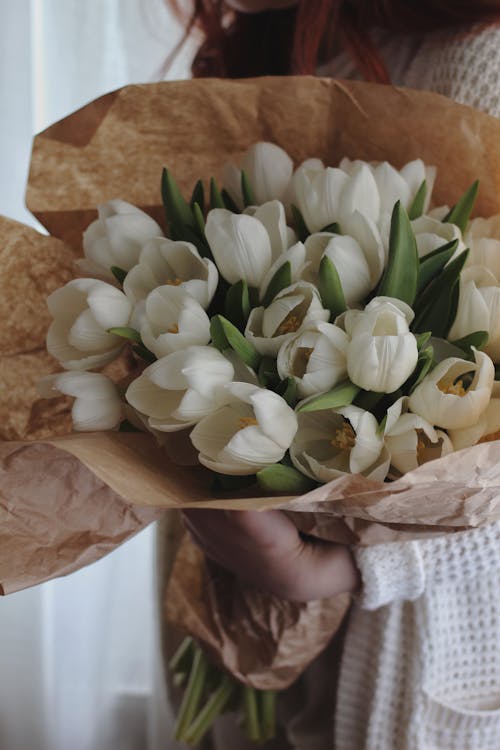 คลังภาพถ่ายฟรี ของ จับ, ช่อดอกไม้, ดอกทิวลิปสีขาว