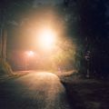 Late Drives playlist cover: fog-lit night road — photo by Trevor Hong on Pexels