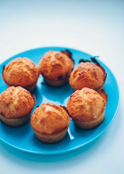 Wheat Muffin