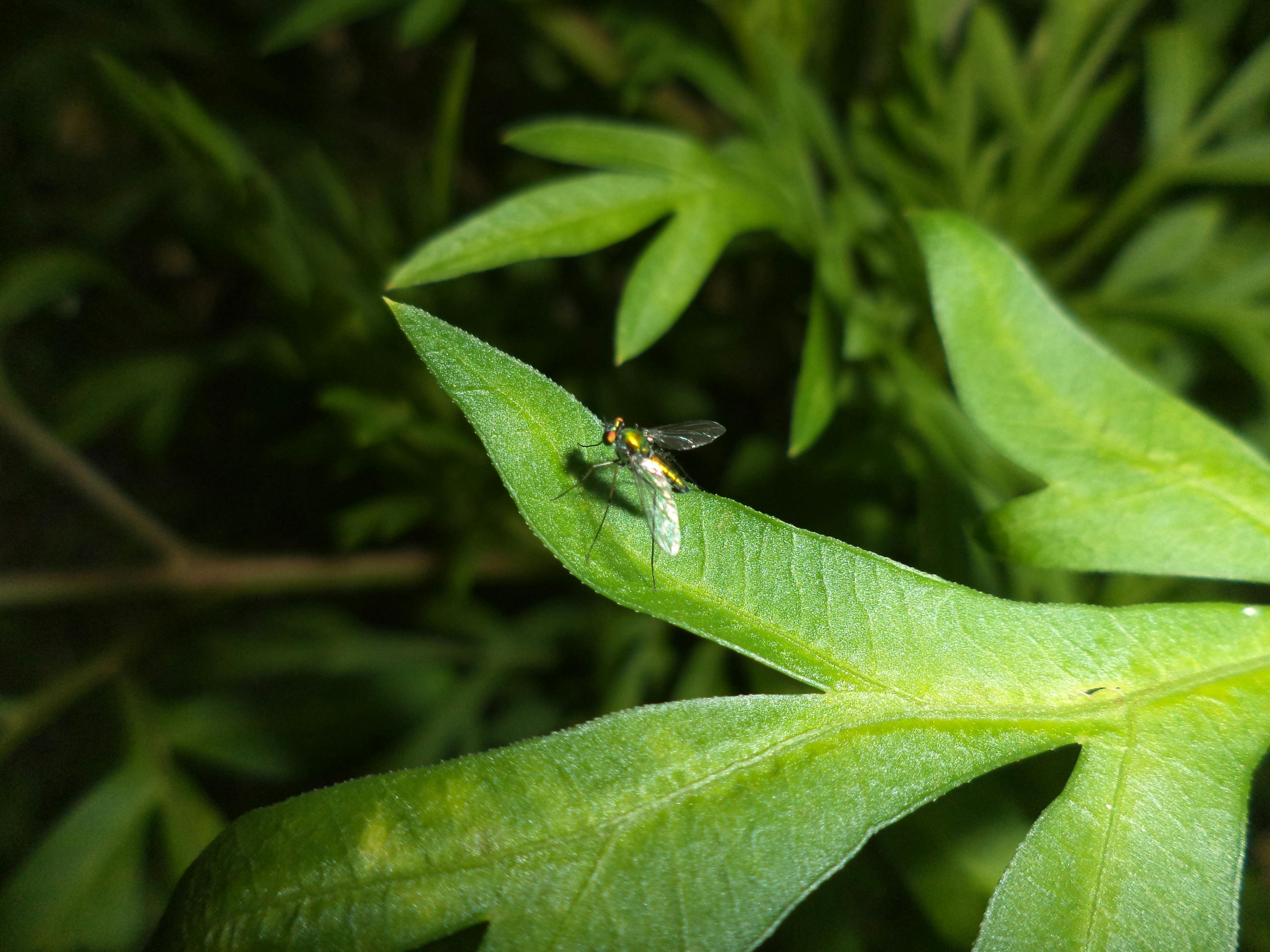 Hàng ghế thoát hiểm