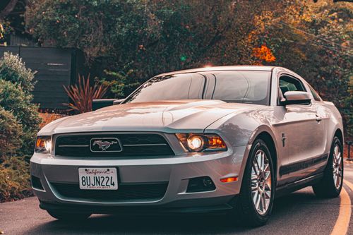 Free A luxurious silver Ford Mustang parked on a scenic road surrounded by lush greenery. Stock Photo