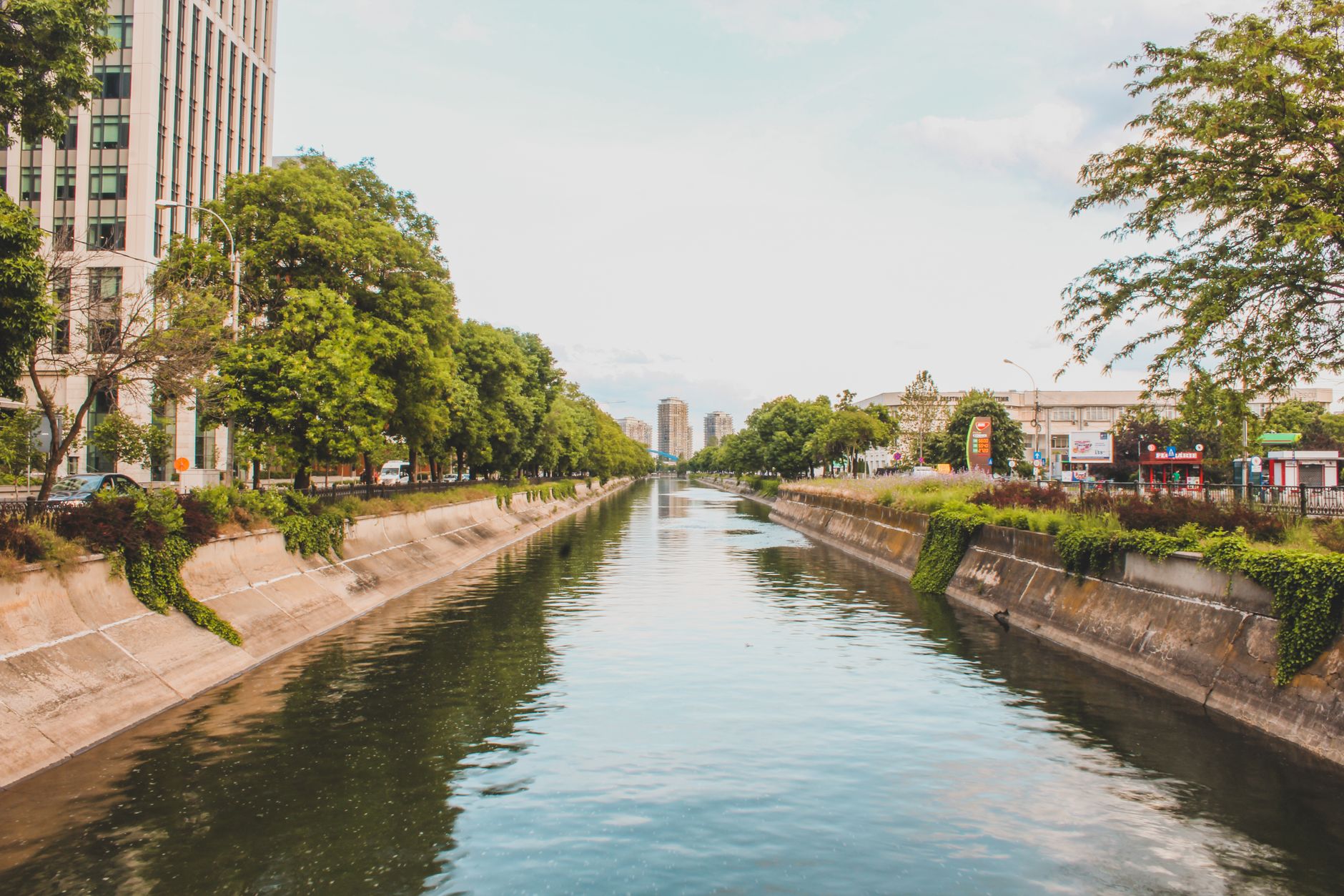 Peaceful canal view surrounded by lush trees and cityscape in Bucharest.