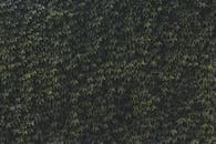 A Green Vertical Garden