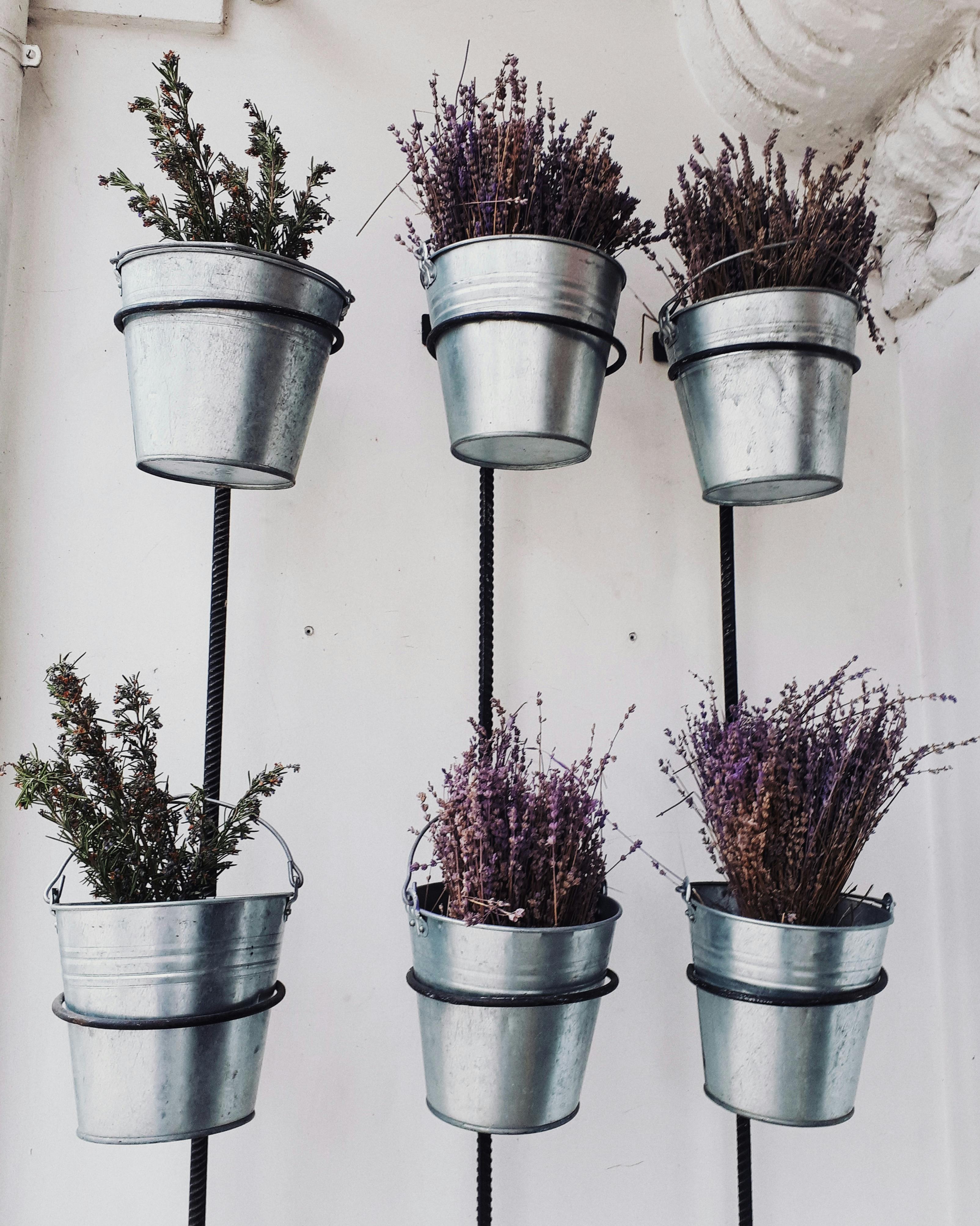Flowers in Metal Pots · Free Stock Photo