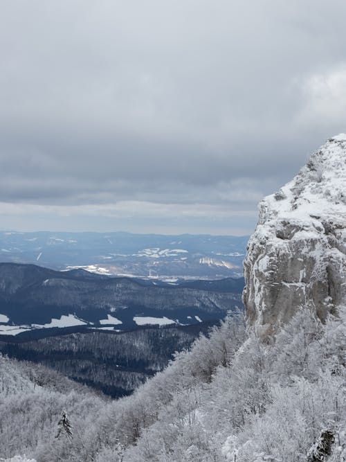 Forest and Valley in Winter