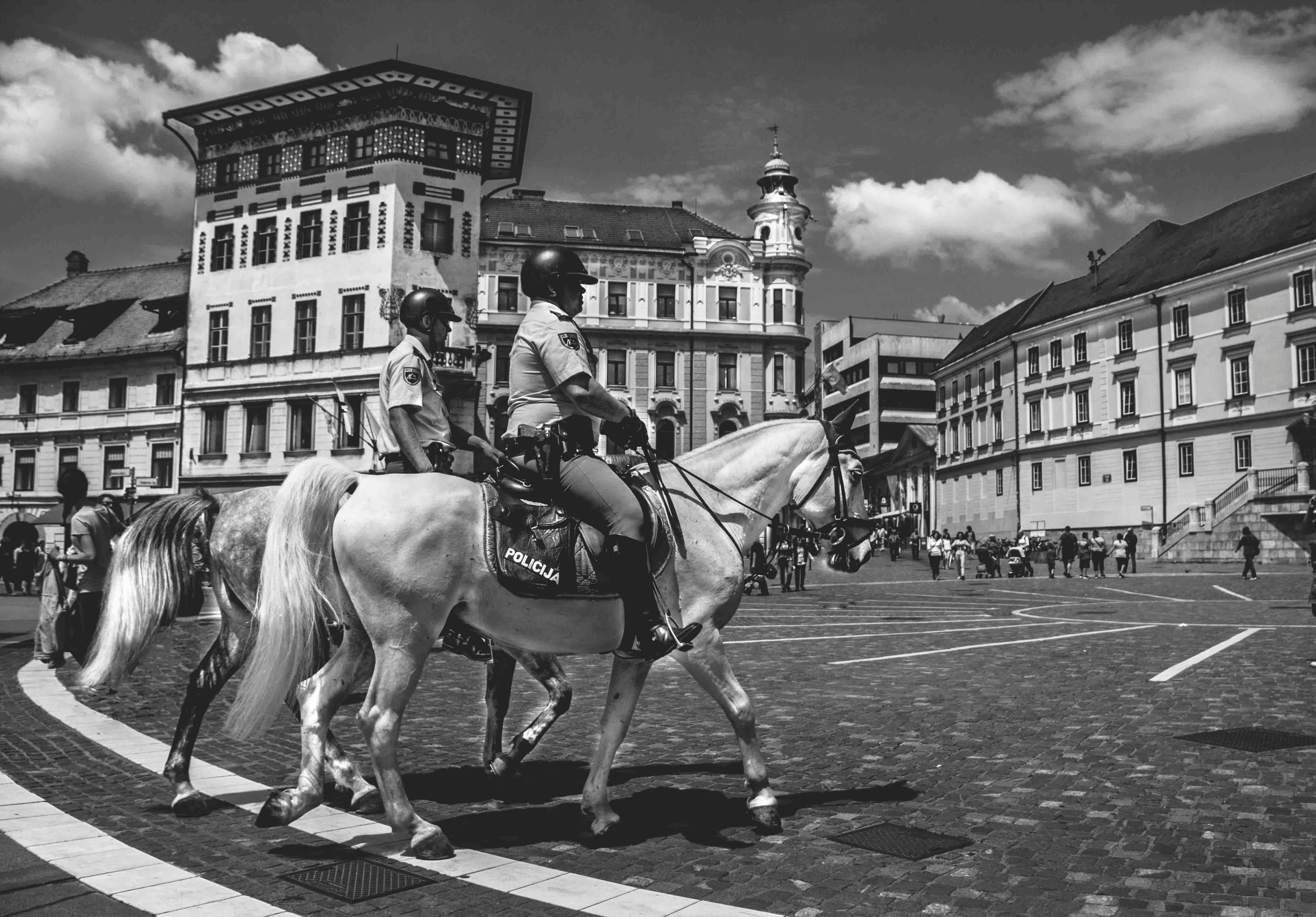 2 man riding a horse in gray scale photography