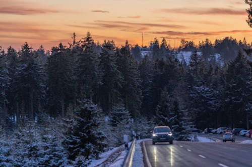 Car on Road Beside Trees 