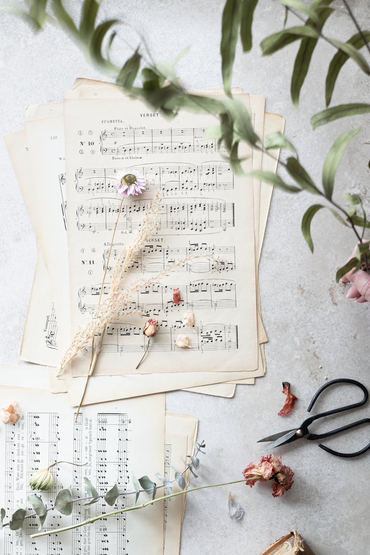 Dried Flowers On Music Sheets