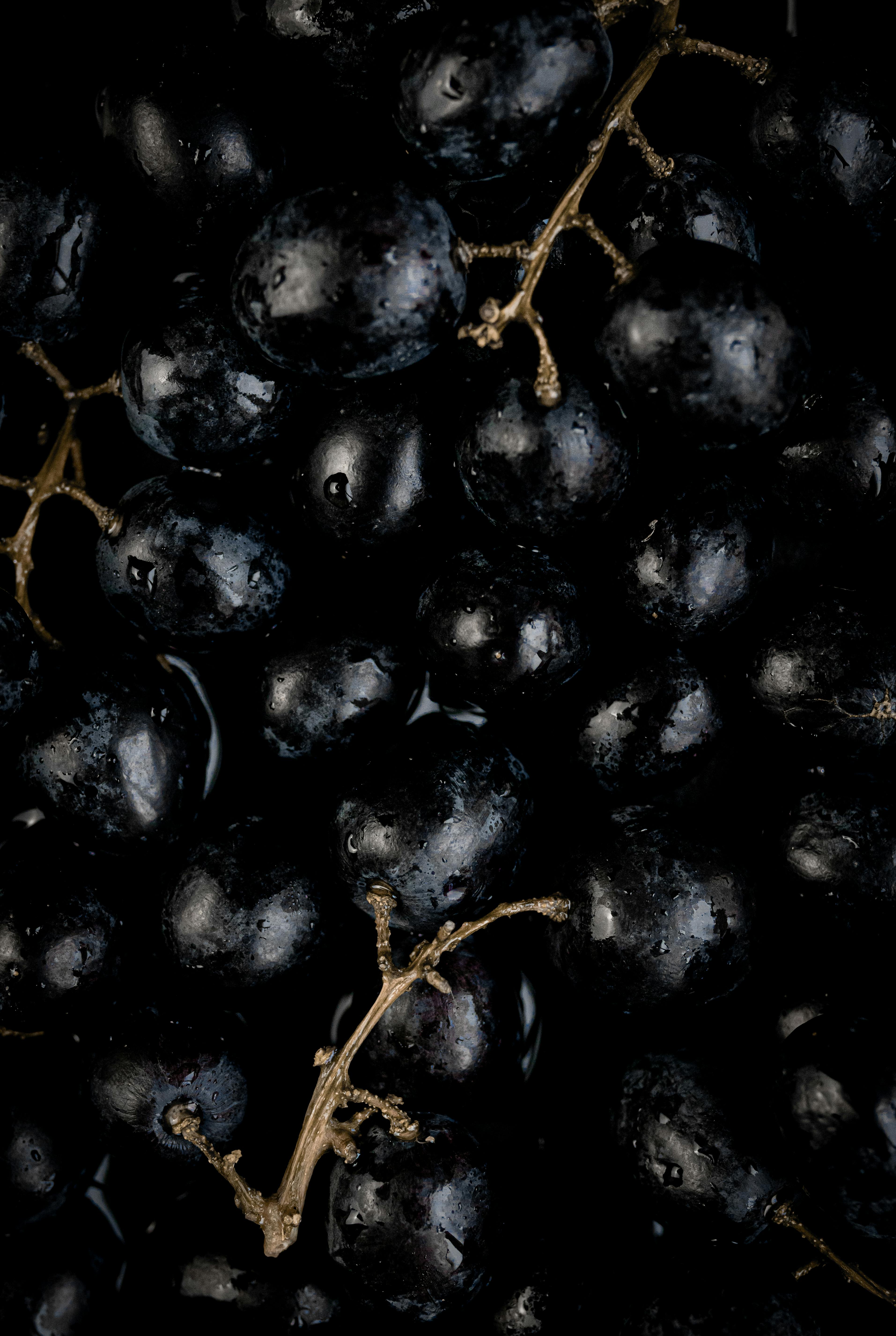 Close-up of dark grapes used to evoke the polyphenol-rich whole-fruit interventions tested in earlier UV studies