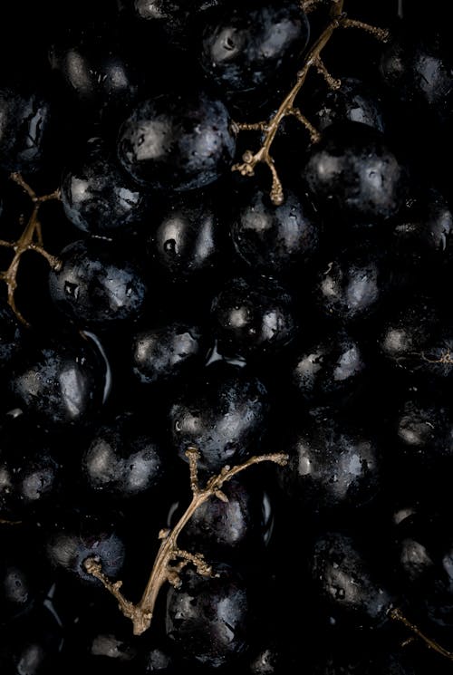 Close-Up Shot of Grapes 