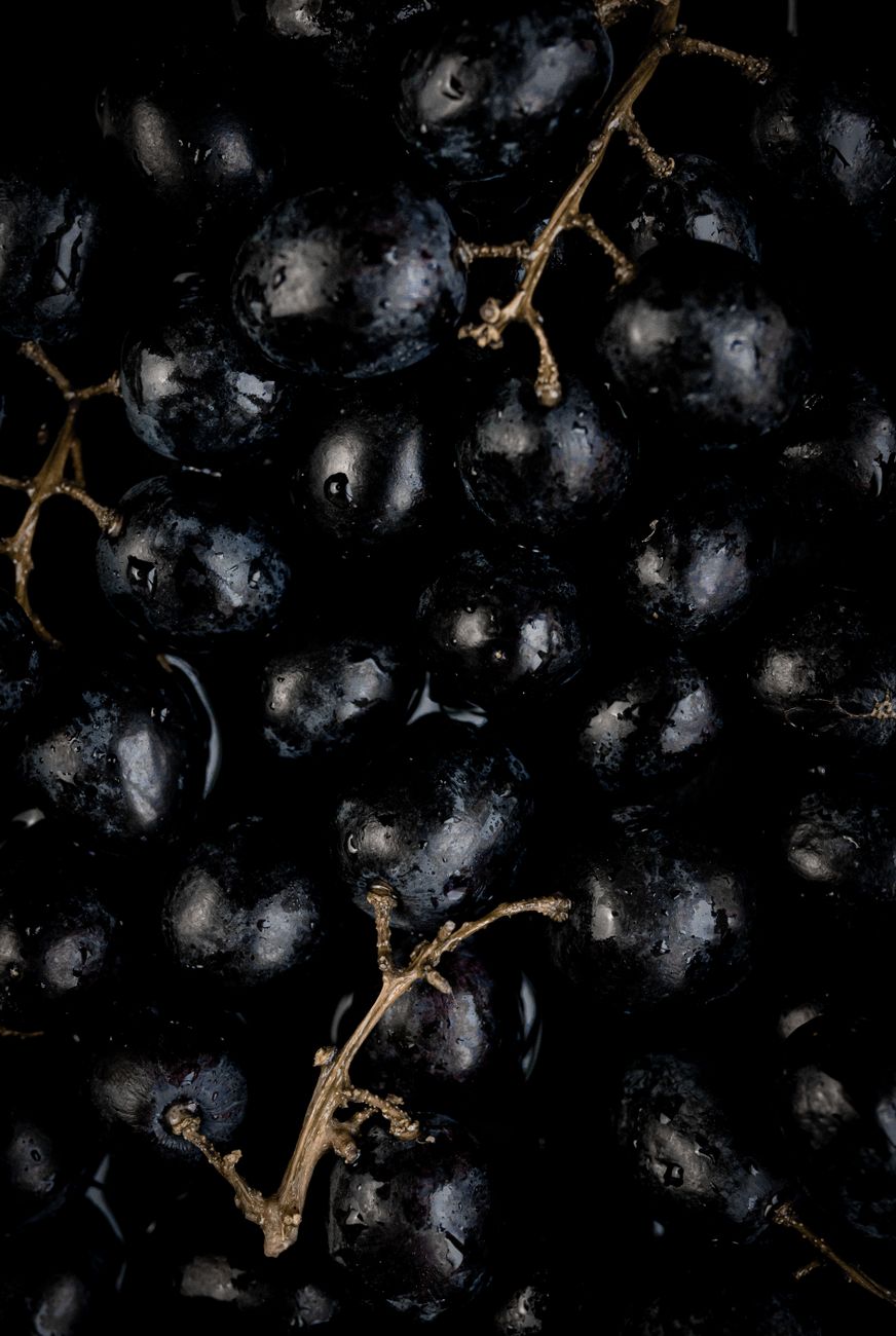 Close-up of dark grapes used to evoke the polyphenol-rich whole-fruit interventions tested in earlier UV studies