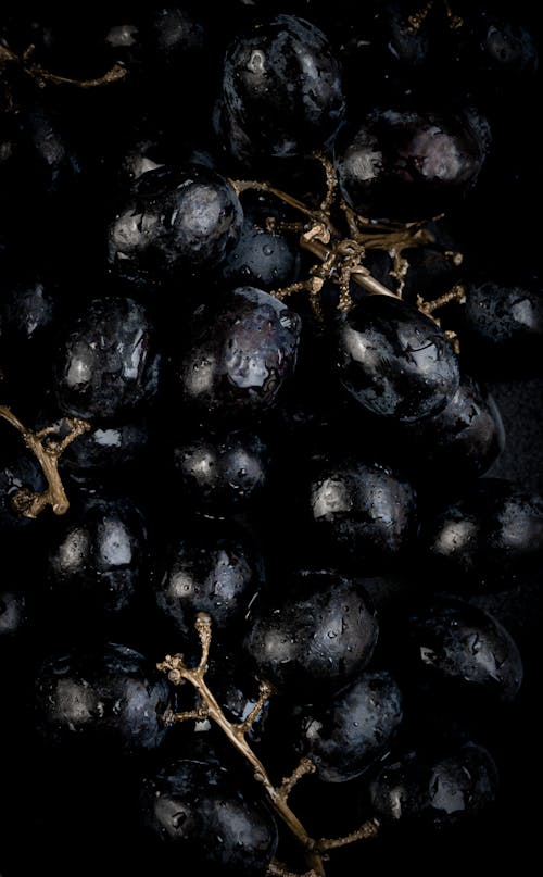 Close-up of Black Grapes 