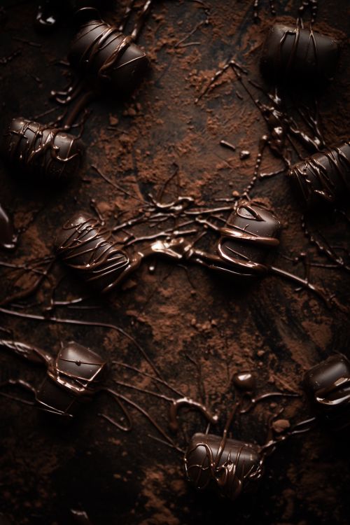 Free Rich and luxurious dark chocolate pralines artistically scattered with cocoa powder for a gourmet dessert display. Stock Photo