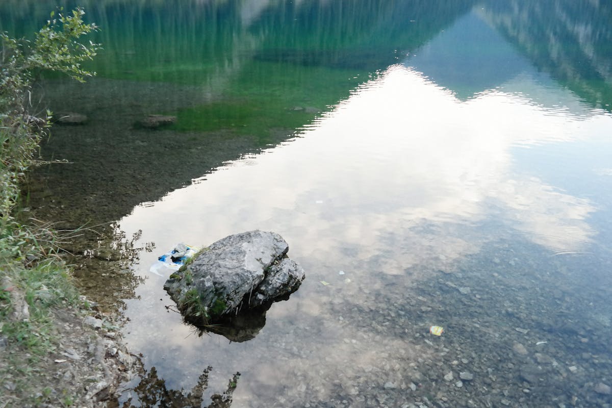 Finished creamy chicken and greens skillet simmering on the stove, ready to serve