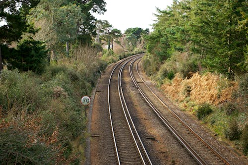 Railroad between Trees