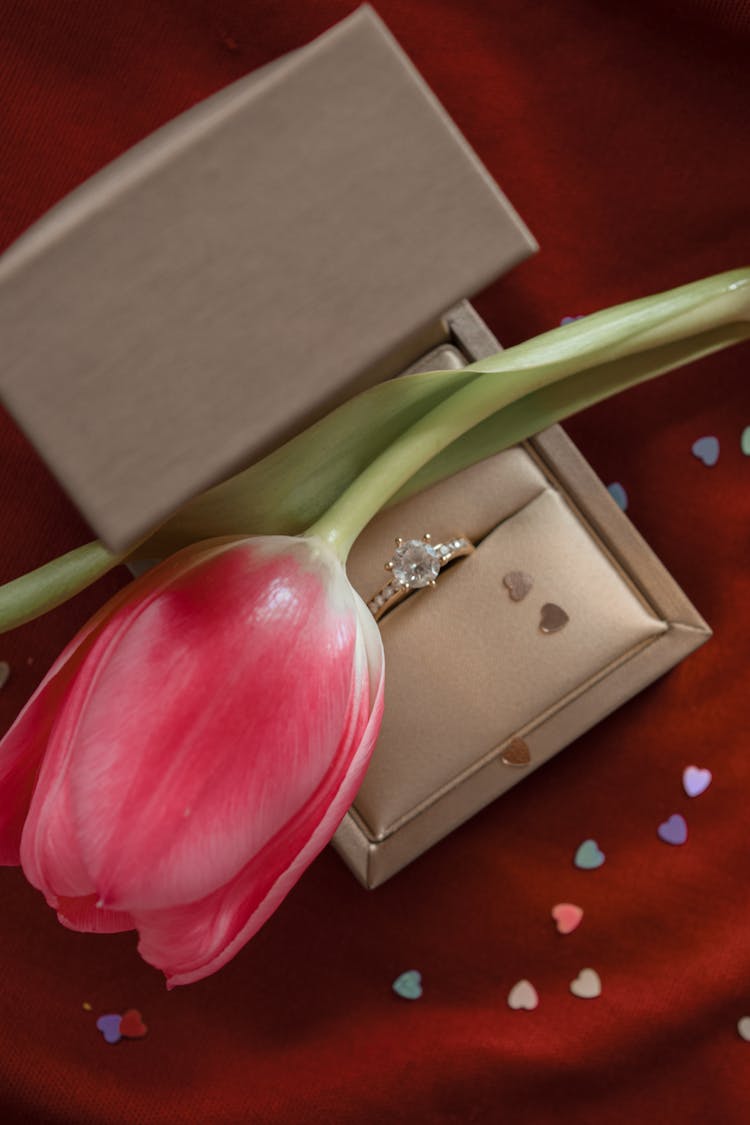 
A Close-Up Shot Of A Tulip Over A Ring In A Box